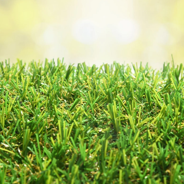 Artificial Grass
