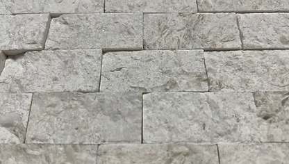 Shellstone Split-Face & Ledger Panel