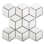 NIMBUS MOSAIC