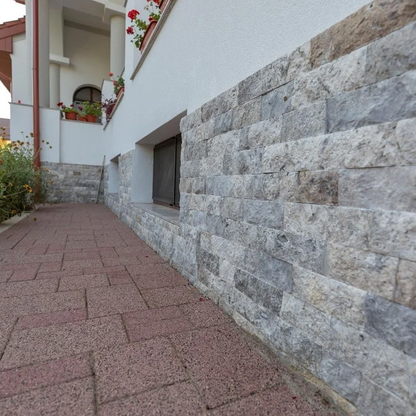 Silver Split-Face & Ledger Panel