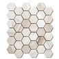 PALESENDRO MOSAIC